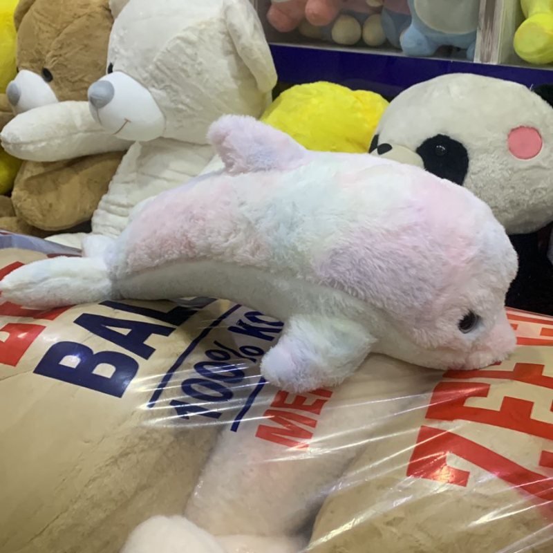 Dolphin