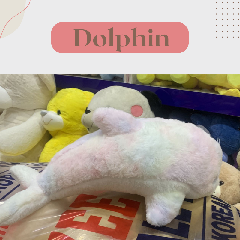 Dolphin