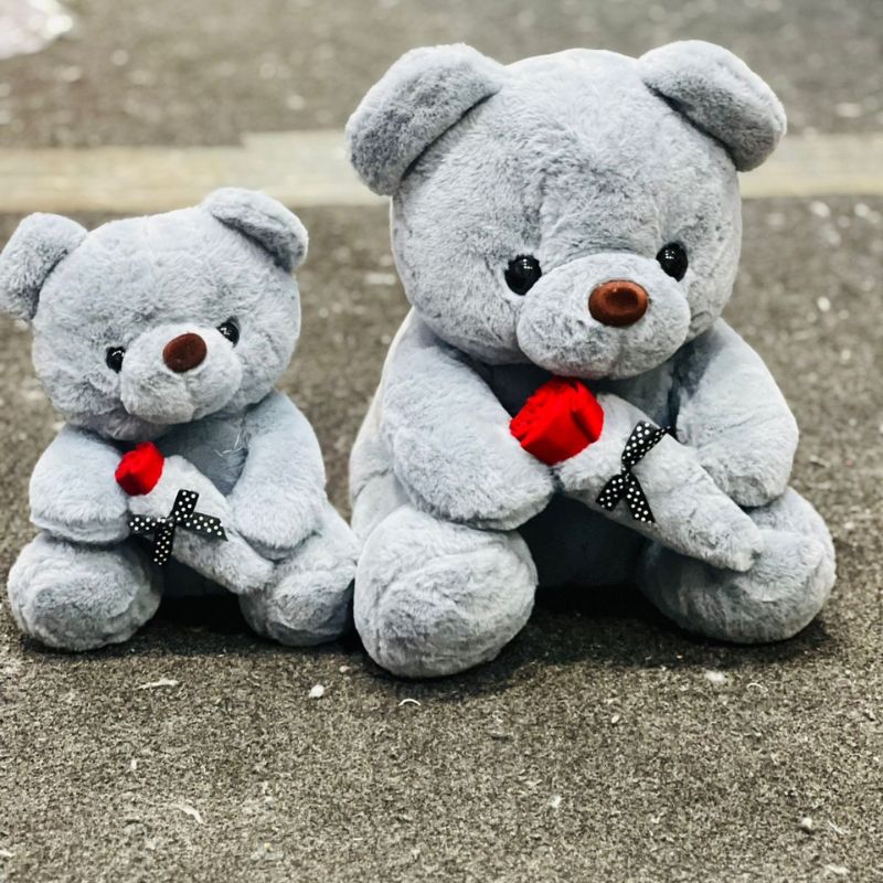 Teddy Bears Holding Roses