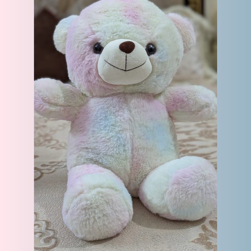 45cm Soft Rainbow Pastel Teddy Bear