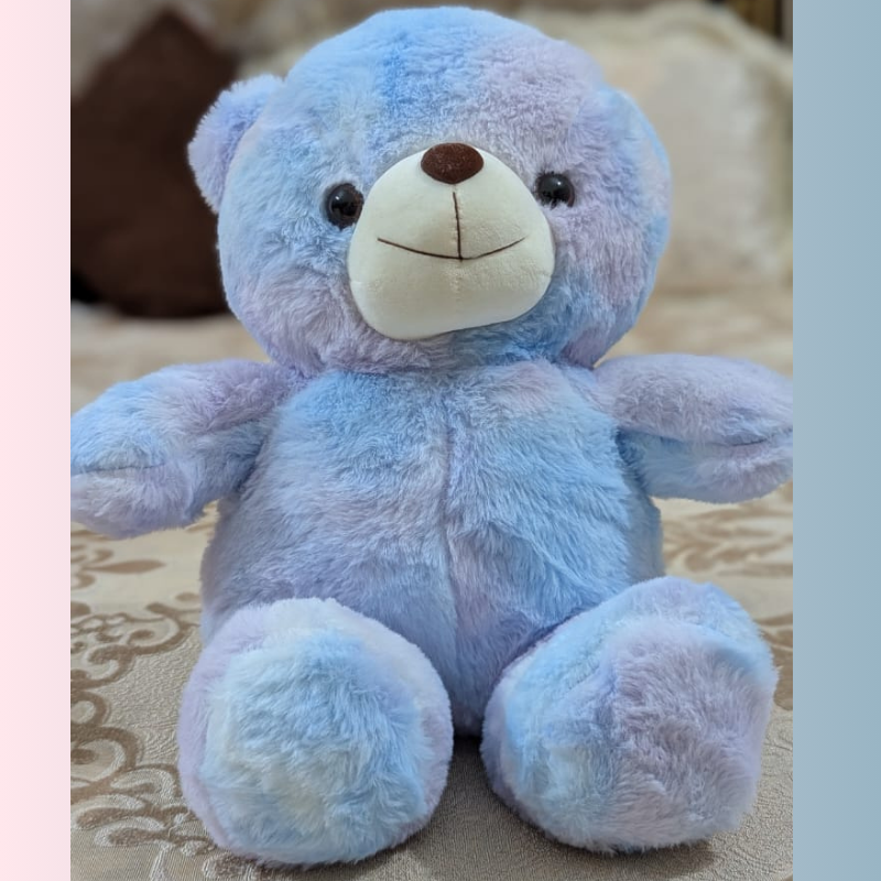 45cm Soft Rainbow Pastel Teddy Bear