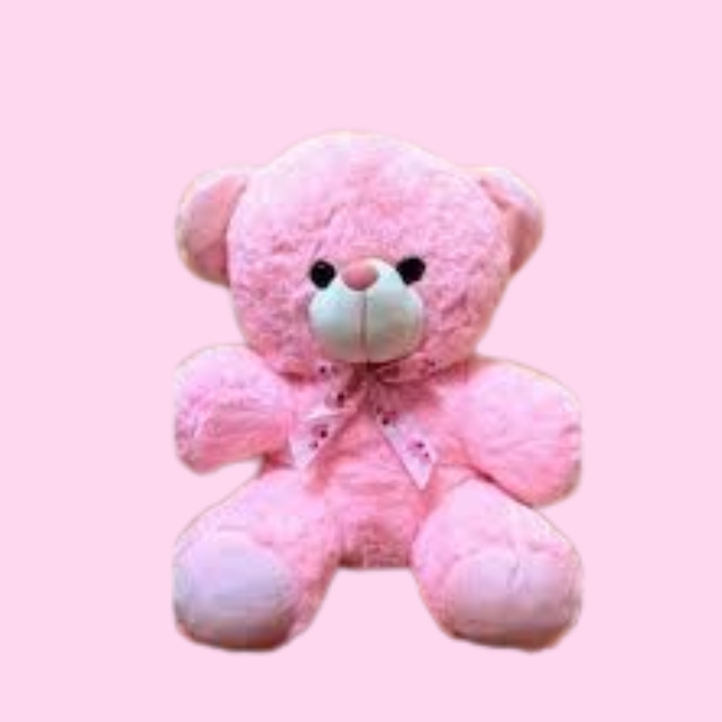Sweetest Companions: Bunny & Bear Plush Combo