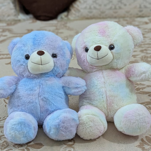 45cm Soft Rainbow Pastel Teddy Bear