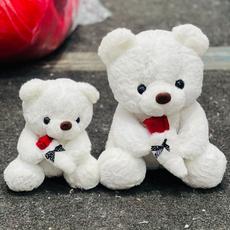 Teddy Bears Holding Roses