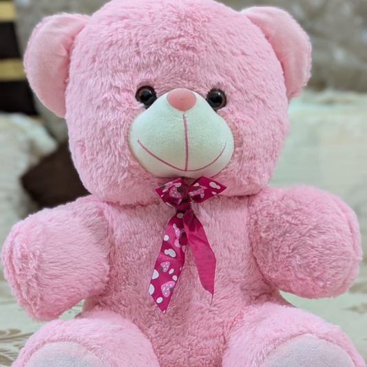 50 cm Soft & Cuddly Pink Teddy Bear