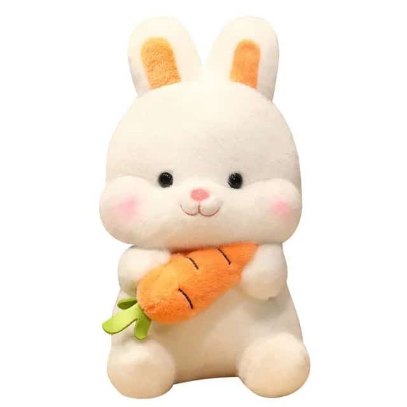 Carrot Hugging Bunny