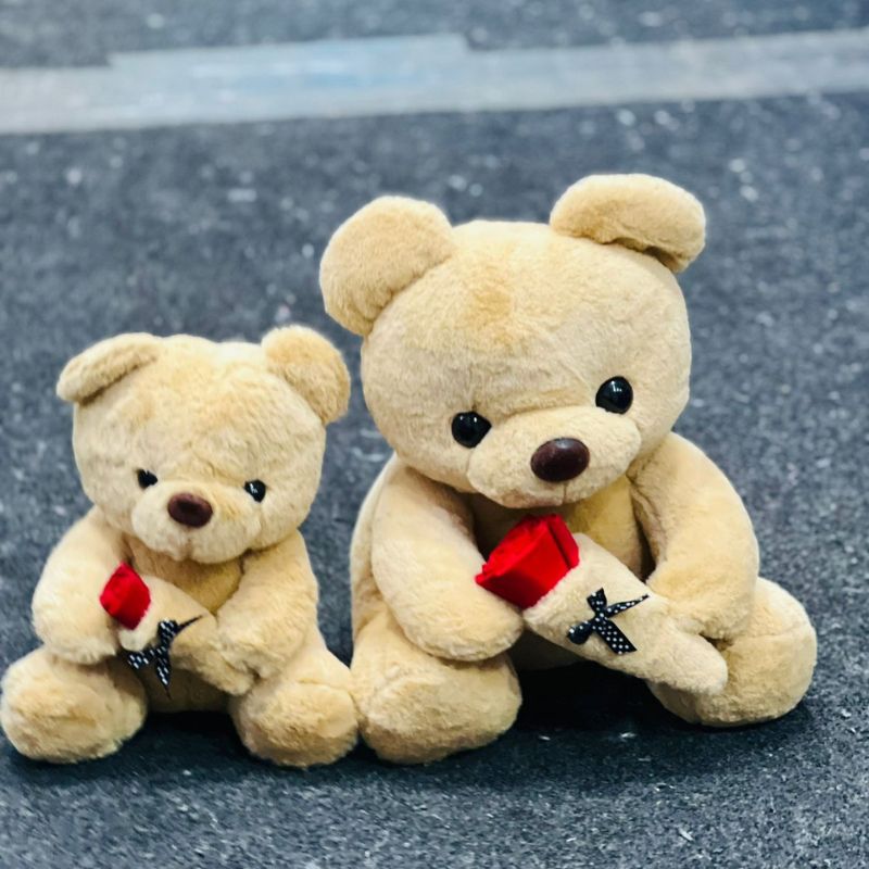 Teddy Bears Holding Roses